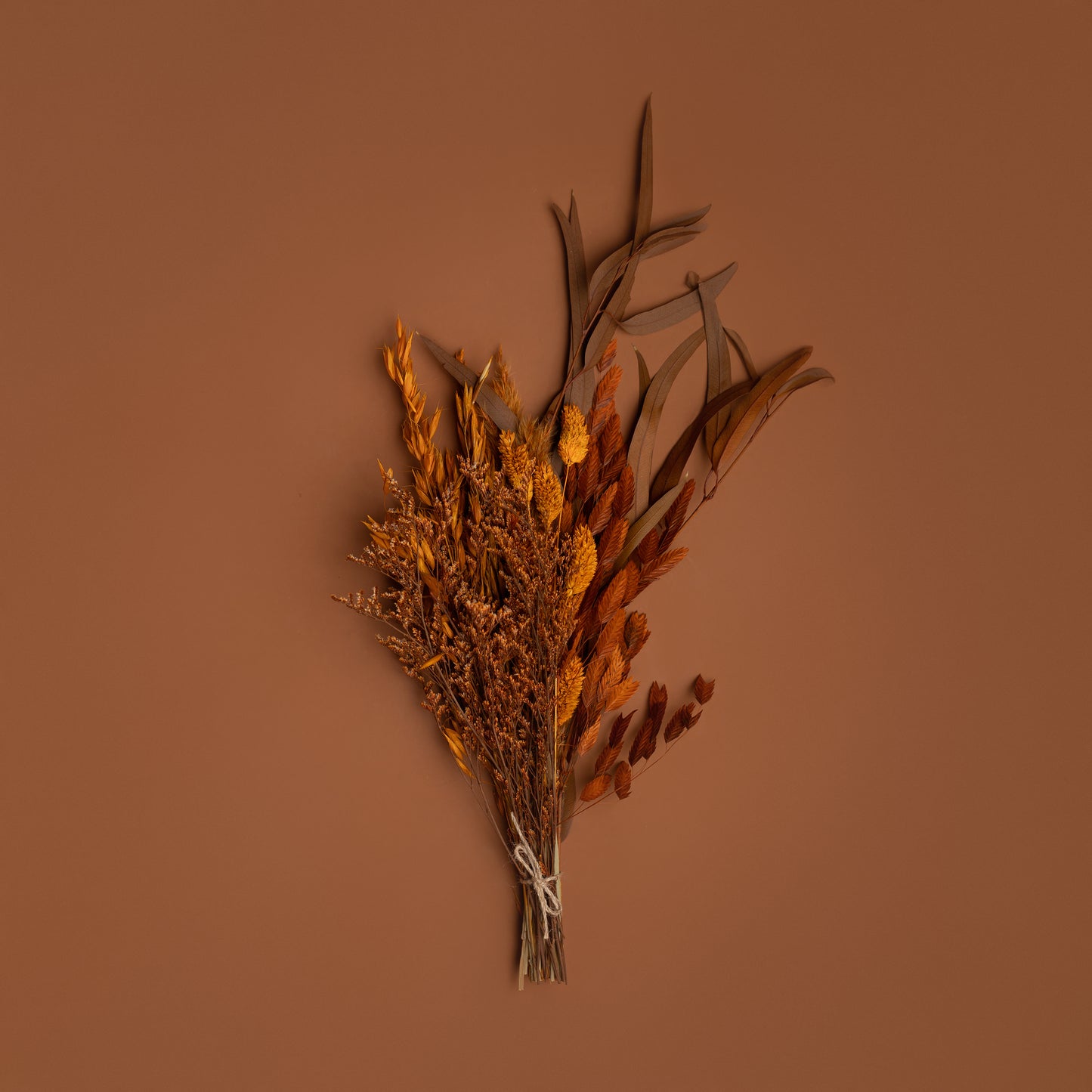 Dried Florals | Bantha